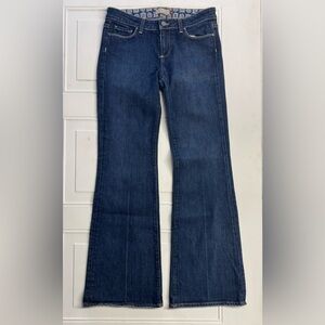Paige Premium Denim Women’s 29 Robertson Flare Blue Denim Jeans Embroidered